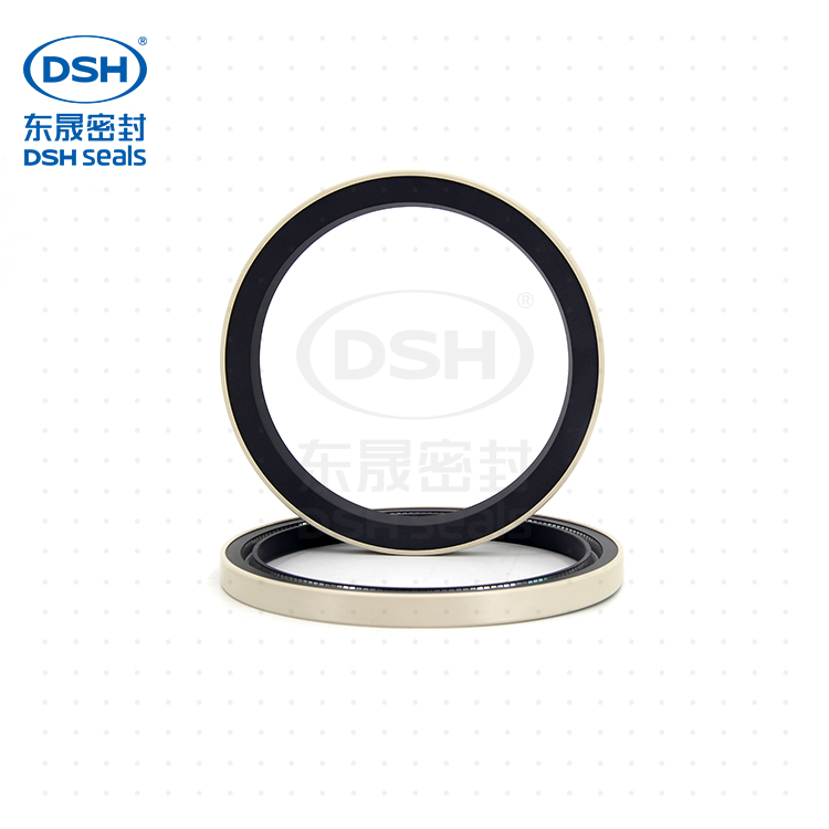 PEEK外殼油封 PEEK外殼油封