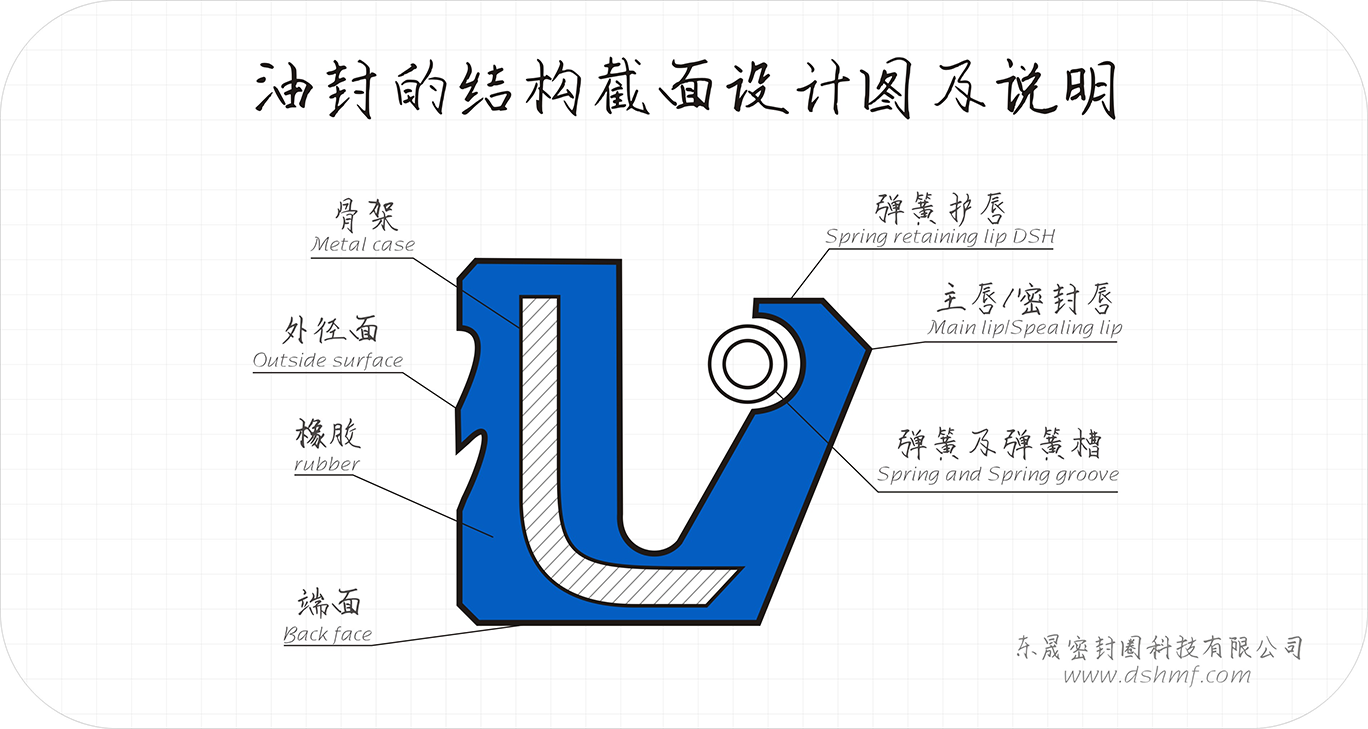 油封的結構截面設計圖及說明1