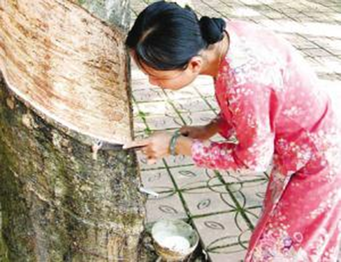 橡膠密封件材料材質(zhì)分類(lèi)2