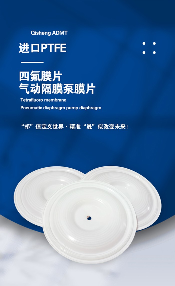 隔膜泵膜片油封 - 副本 隔膜泵膜片油封 - 副本