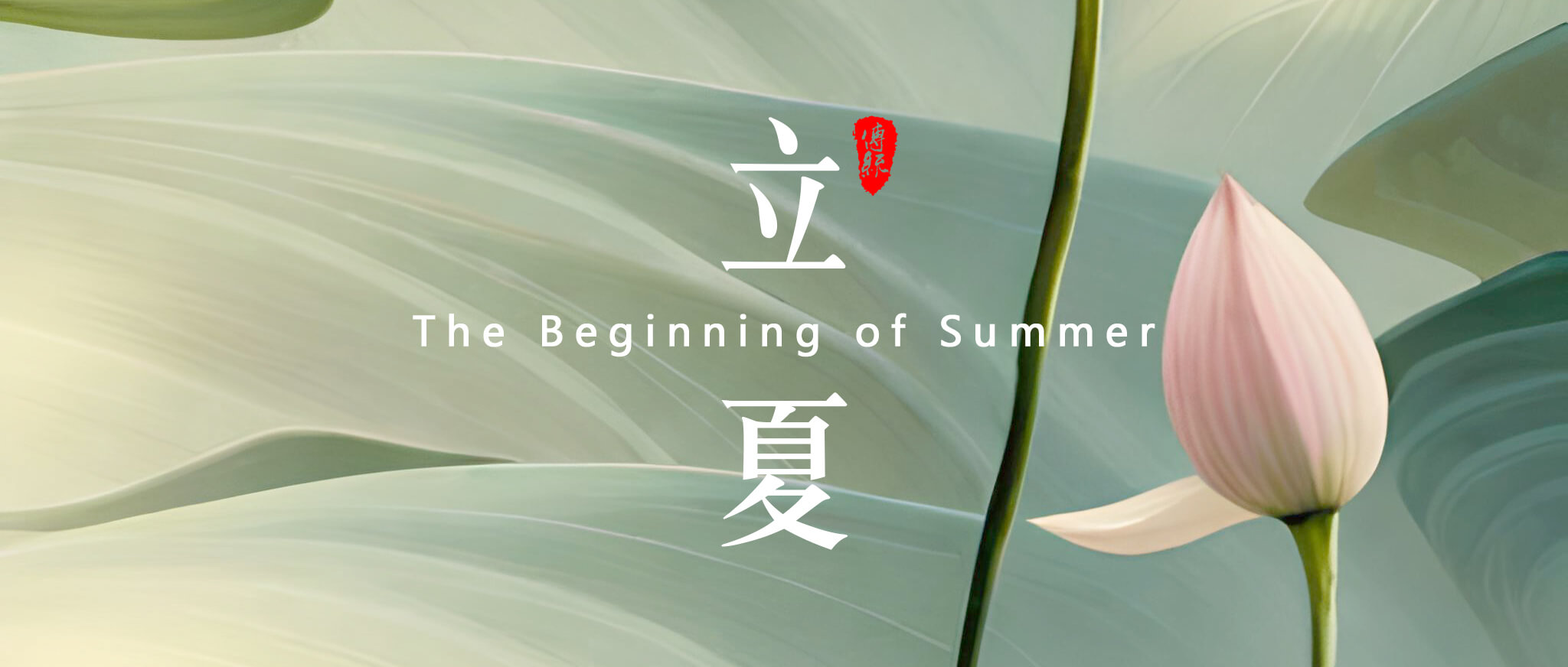 立夏：夏天的開始！