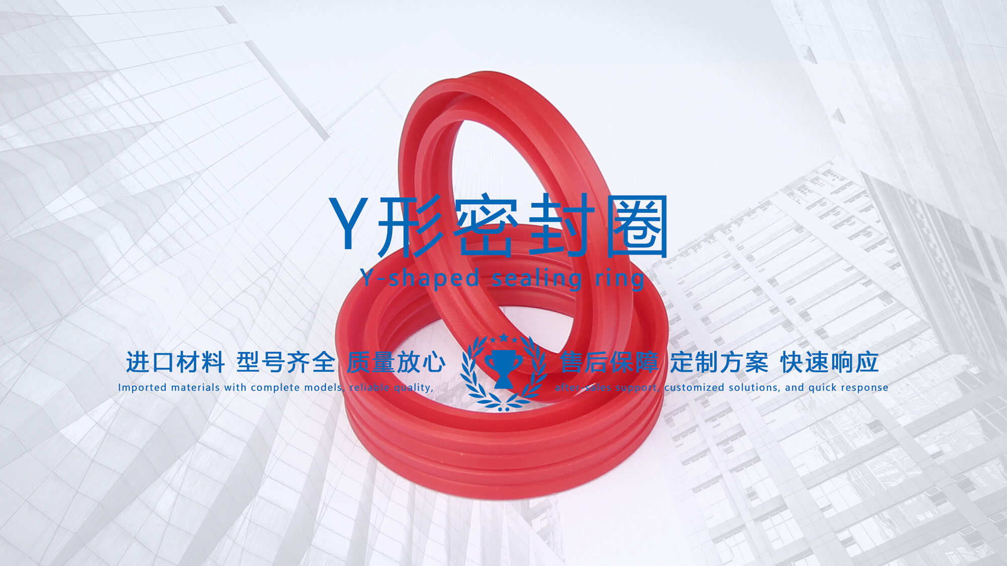 y型密封圈（又Y形密封圈，Y形圈，Y型圖或唇形密封圈，密封件油封膜片） (3)