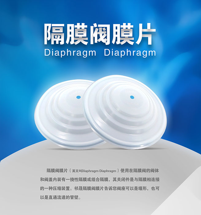 隔膜閥膜片泵閥密封件 - 副本 隔膜閥膜片泵閥密封件 - 副本