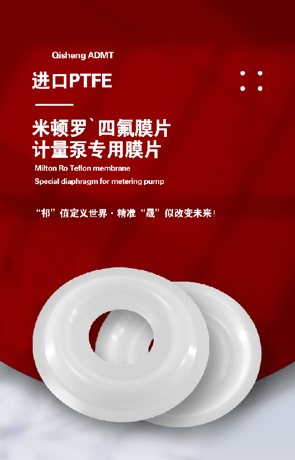 勝佰德氣動隔膜泵膜片 (2)